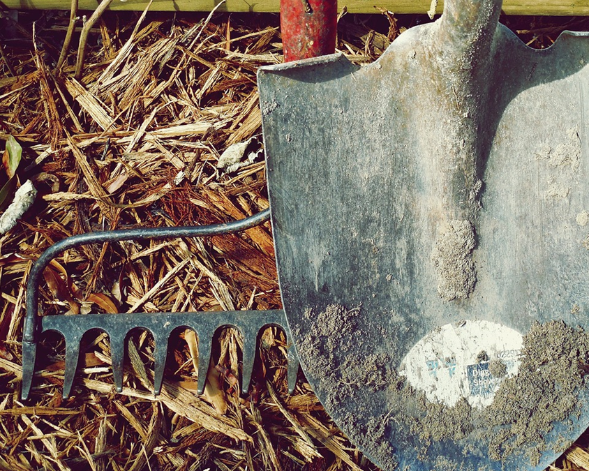 Prepping Tools for Summer